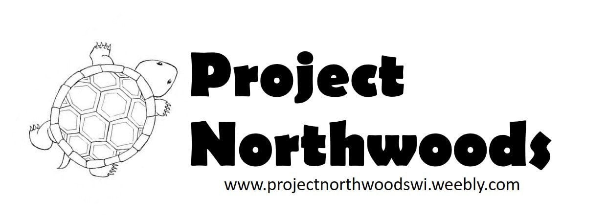 Project Northwoods